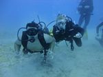 Hawaii Scuba divng 69