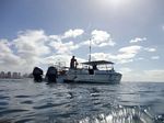 Hawaii Scuba divng 06