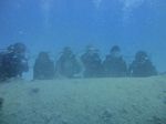 Hawaii Scuba divng 73