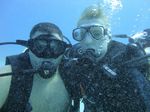 Hawaii Scuba divng 75