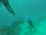 Hawaii Scuba divng 100