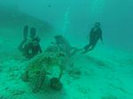 Hawaii Scuba divng 15
