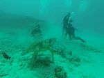 Hawaii Scuba divng 20