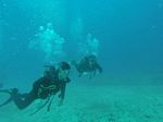 Hawaii Scuba divng 21