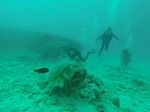 Hawaii Scuba divng 28