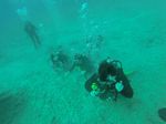 Hawaii Scuba divng 35