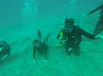 Hawaii Scuba divng 39