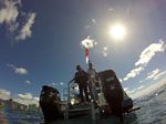 Hawaii Scuba divng 44