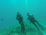 Hawaii Scuba divng 51