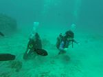 Hawaii Scuba divng 05