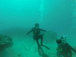 Hawaii Scuba divng 06