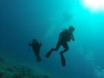 Hawaii Scuba divng 71