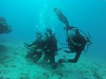 Hawaii Scuba divng 72