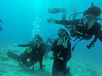 Hawaii Scuba divng 73