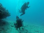 Hawaii Scuba divng 75