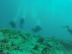 Hawaii Scuba divng 78