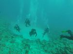 Hawaii Scuba divng 79