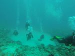 Hawaii Scuba divng 81