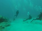Hawaii Scuba divng 82