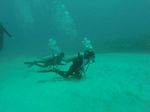 Hawaii Scuba divng 83