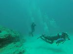 Hawaii Scuba divng 84