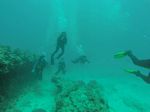 Hawaii Scuba divng 87