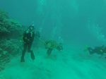 Hawaii Scuba divng 94