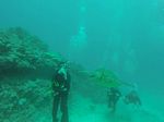 Hawaii Scuba divng 95