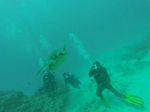 Hawaii Scuba divng 99