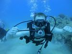 Hawaii scuba 20