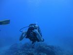 Hawaii scuba 23