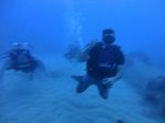 Hawaii scuba 31