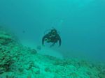 Hawaii Scuba divng 10