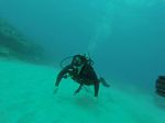 Hawaii Scuba divng 12