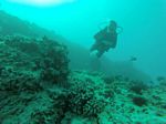 Hawaii Scuba divng 17