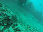 Hawaii Scuba divng 18