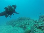 Hawaii Scuba divng 24