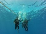 Hawaii Scuba divng 26