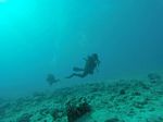 Hawaii Scuba divng 28