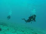 Hawaii Scuba divng 29