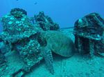 Hawaii Scuba divng 37