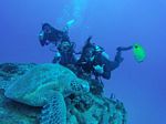 Hawaii Scuba divng 41