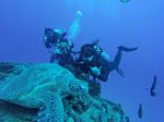 Hawaii Scuba divng 42