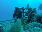 Hawaii Scuba divng 66