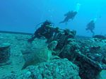 Hawaii Scuba divng 67