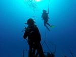 Hawaii Scuba divng 72