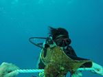 Hawaii Scuba divng 79