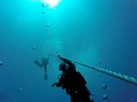 Hawaii Scuba divng 81