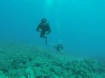 Hawaii Scuba divng 88