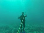 Hawaii Scuba divng 10